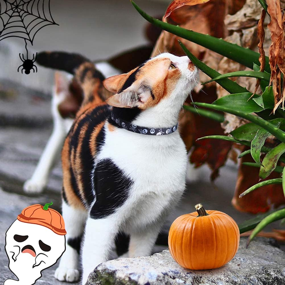 Breakaway Cat Collar with Bell Charm, 2 Packs Adjustable Kitty Collars Pink & Black Skull Pattern, 7.8-11.8 In