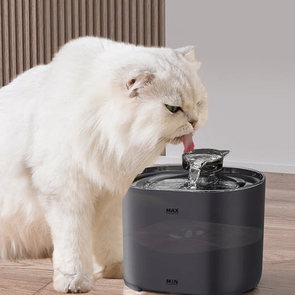 Pet Water Fountain